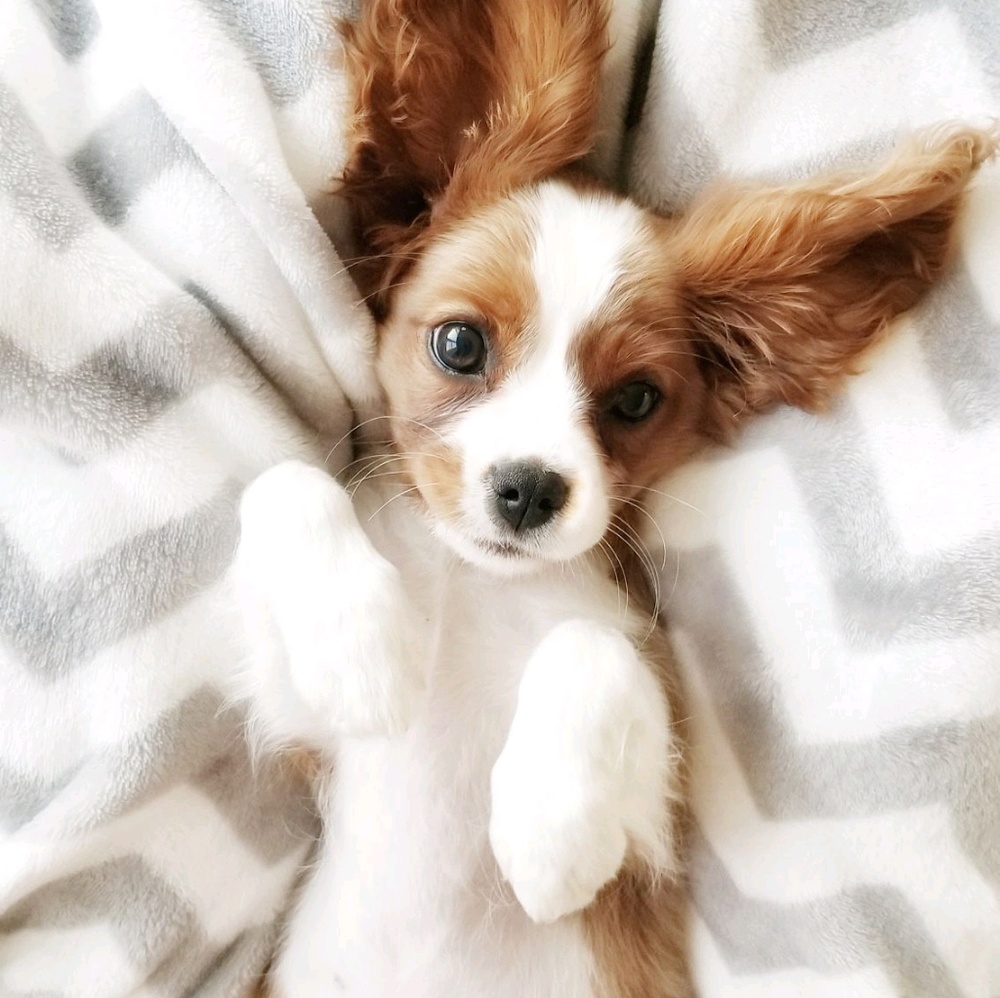 Meet your Posher, Jeanne